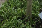 Yotingplant-nursery-23.jpg; ?>