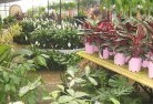 Yotingplant-nursery-7.jpg; ?>